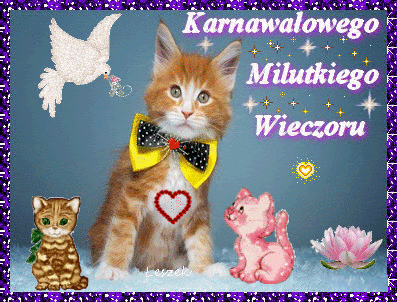Koty miłego wieczoru